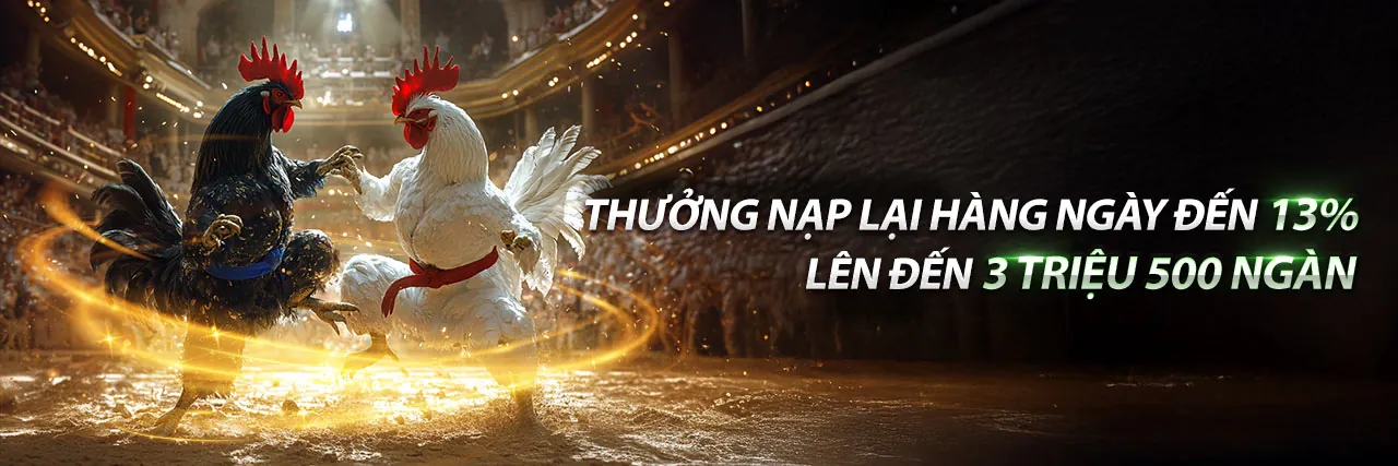 Đá Gà F88 – Sân đấu gà trực tuyến